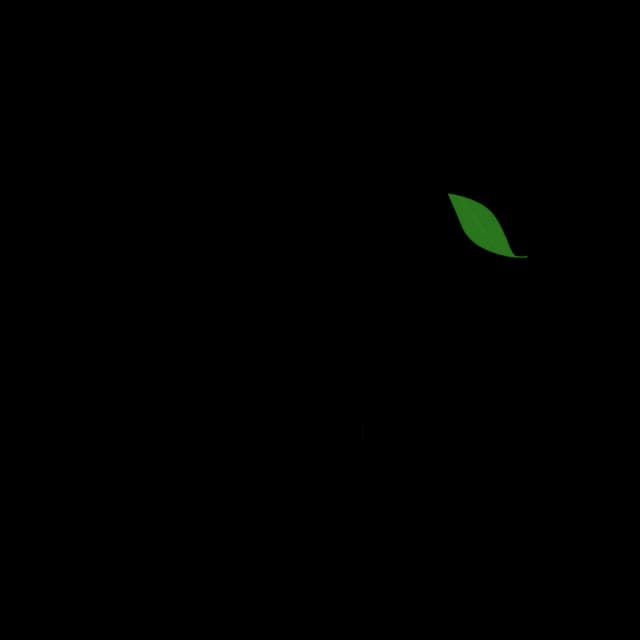 Client Logo 2